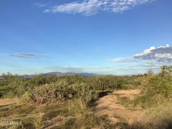 Cochise, AZ 85606,55 W APACHE Way #226