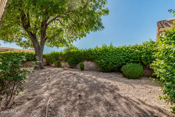 Surprise, AZ 85378,11557 W BADGER Court