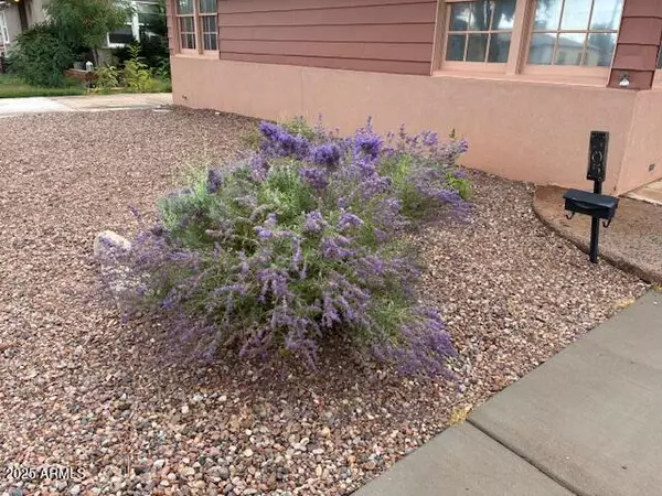 Winslow, AZ 86047,305 W MAHONEY Street