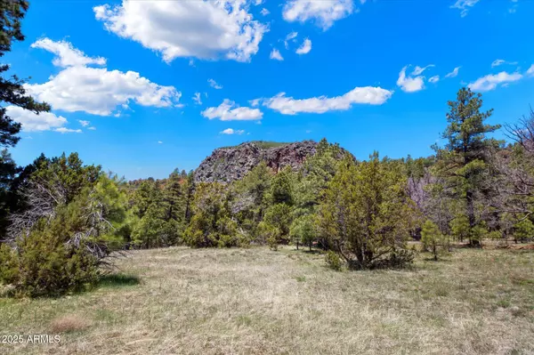 Happy Jack, AZ 86024,0 Ponderosa Drive #-