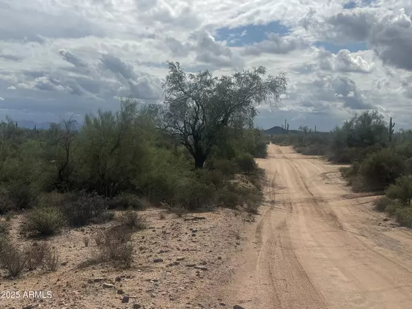 Rio Verde, AZ 85263,172 N Street Street #-