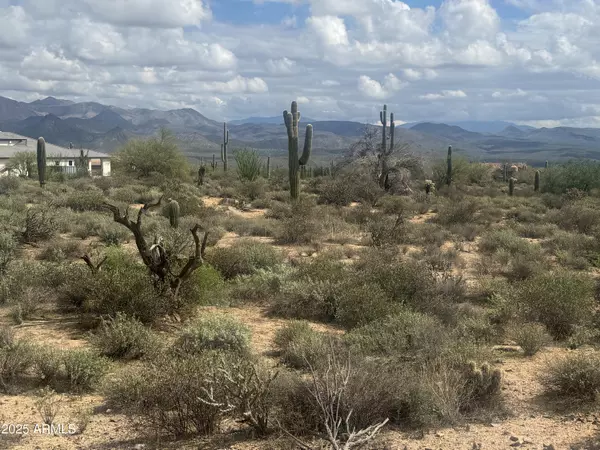Rio Verde, AZ 85263,172 N Street Street #-