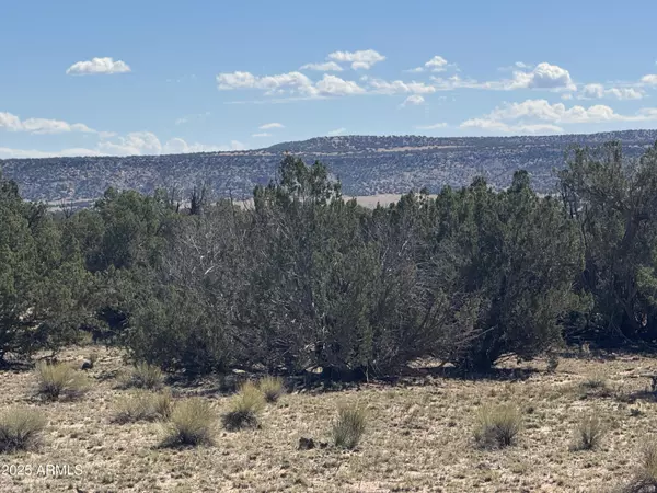 St Johns, AZ 85936,736 Woodland Valley Ranch -- #736