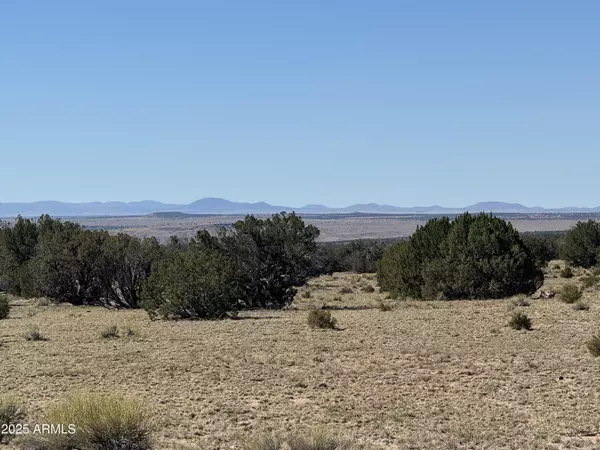 St Johns, AZ 85936,736 Woodland Valley Ranch -- #736