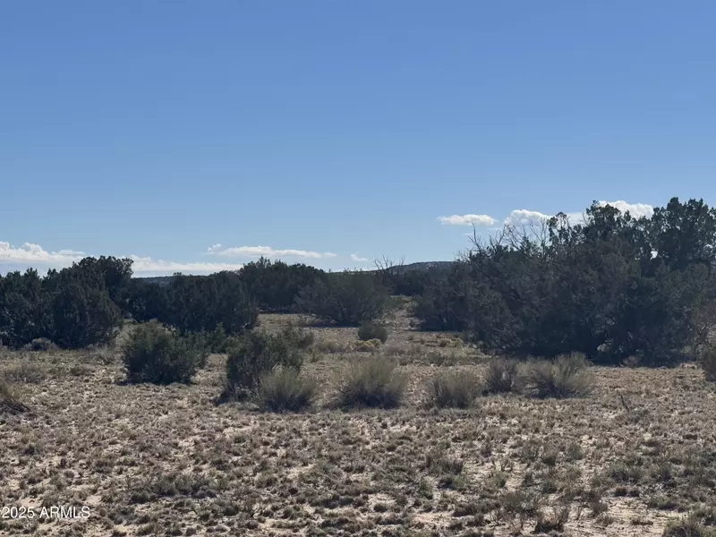 736 Woodland Valley Ranch -- #736, St Johns, AZ 85936