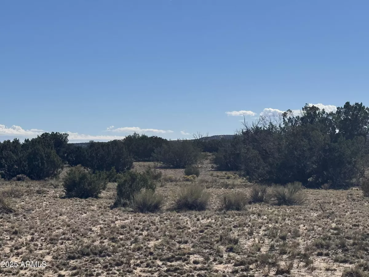 St Johns, AZ 85936,736 Woodland Valley Ranch -- #736