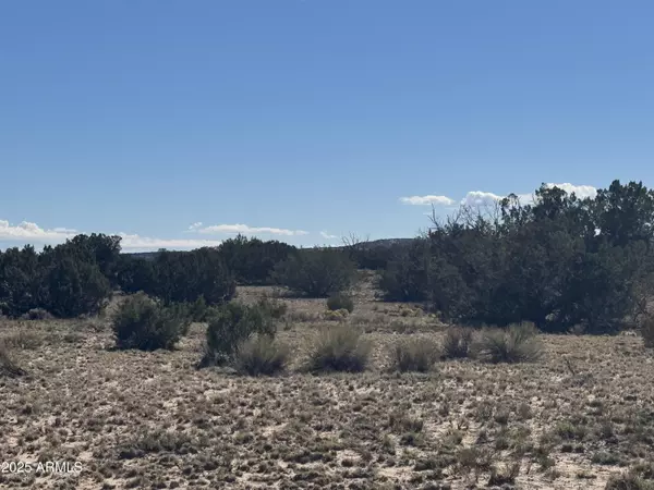 736 Woodland Valley Ranch -- #736, St Johns, AZ 85936