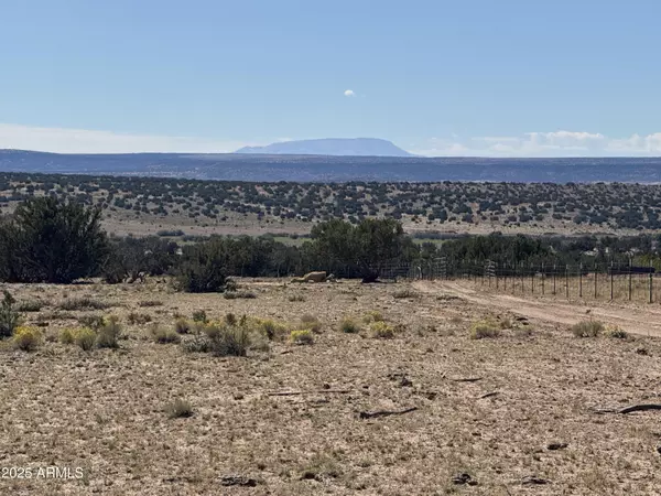 St Johns, AZ 85936,746 Woodland Valley Ranch -- #746