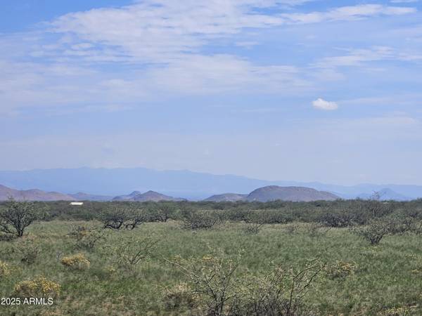 Pearce, AZ 85625,W WINDSOR ST LOT 7 BLK 319 -- #7