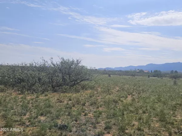 Pearce, AZ 85625,W WINDSOR ST LOT 7 BLK 319 -- #7