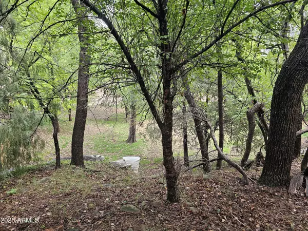 Payson, AZ 85541,N Houston Mesa Road #-