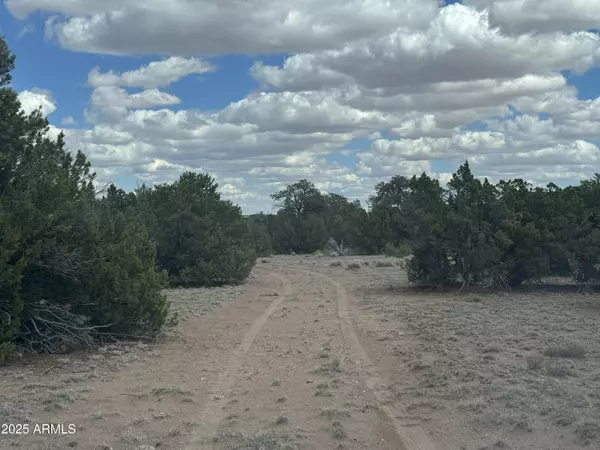 St Johns, AZ 85936,131 Elk Valley Ranch -- #131