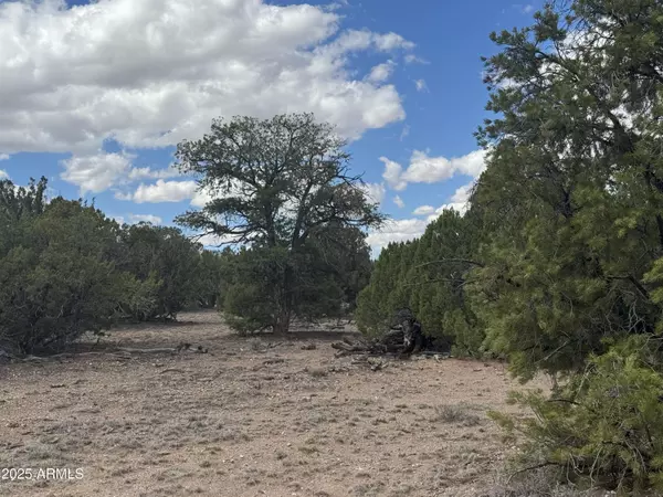 St Johns, AZ 85936,131 Elk Valley Ranch -- #131