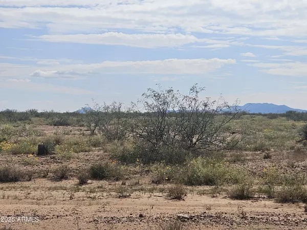 Pearce, AZ 85625,E Cloudburst Lots 14,15 & 16 Road #14, 15 & 16