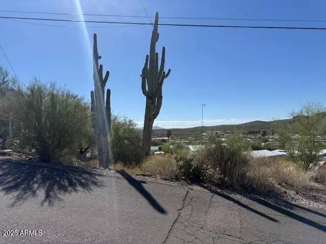 145 W SAHUARO Drive #71, Queen Valley, AZ 85118