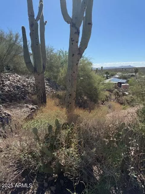 Queen Valley, AZ 85118,145 W SAHUARO Drive #71