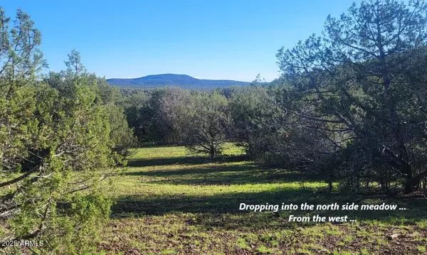 Williams, AZ 86046,991 Wolf Run #991