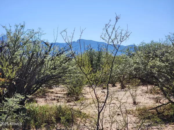 Sierra Vista, AZ 85650,Calle Molinar 350-350 -- #-