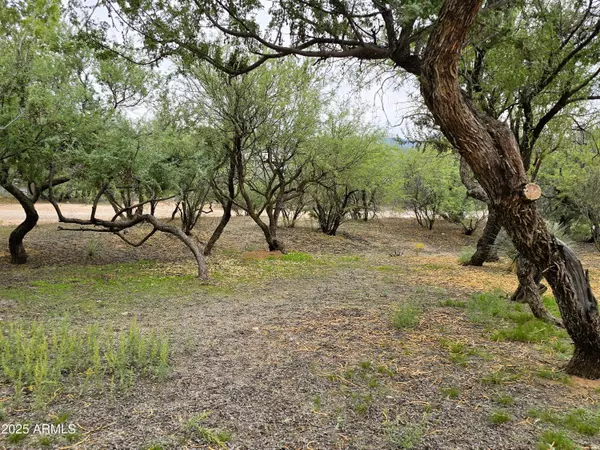 Camp Verde, AZ 86322,1642 E RIVER BEND Road