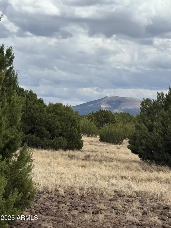 Concho, AZ 85924,46 County Rd N8339 -- #-