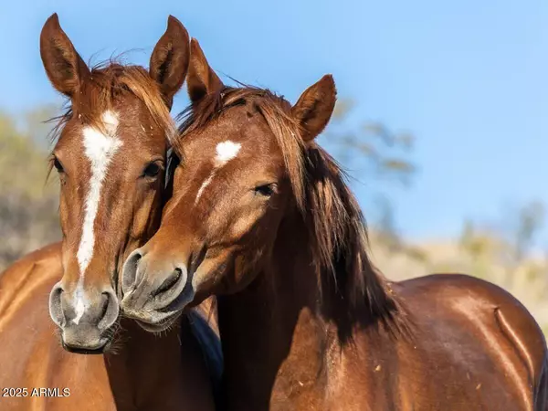 Phoenix, AZ 85050,2923 E WAHALLA Lane