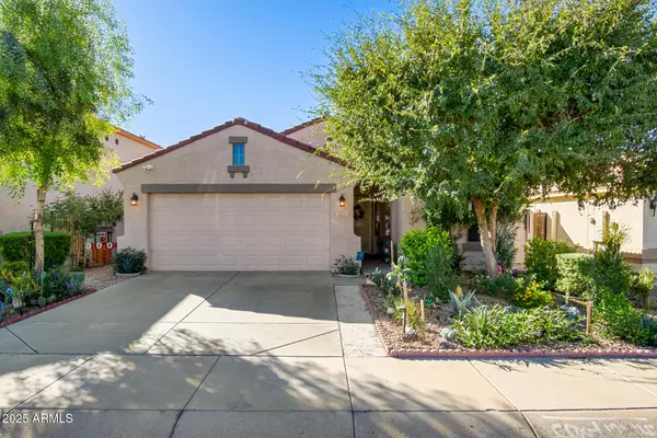 8313 W GROSS Avenue, Tolleson, AZ 85353