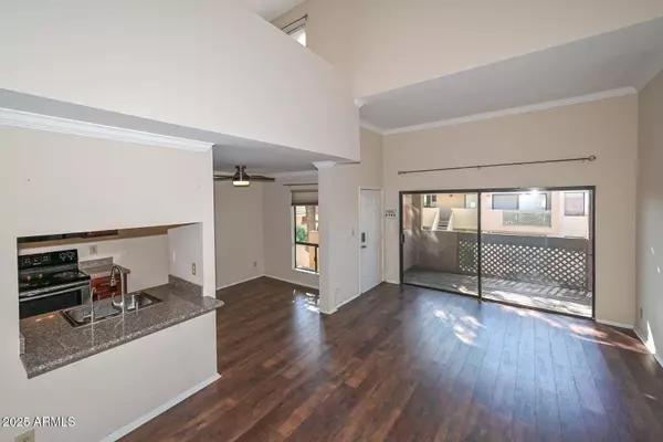 Scottsdale, AZ 85251,3500 N Hayden Road #910