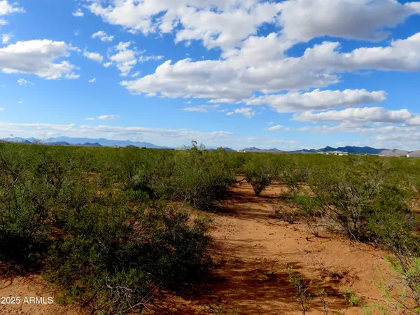 Tombstone, AZ 85638,S Dirksen Draw -- #-