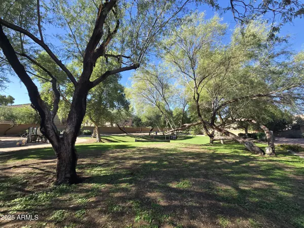 Phoenix, AZ 85050,20919 N 39th Place N