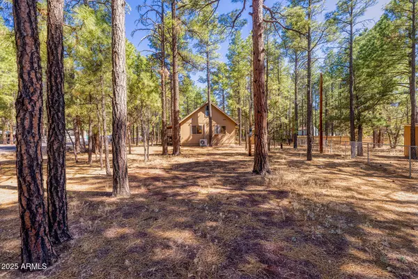 Show Low, AZ 85901,1148 N 43RD Drive