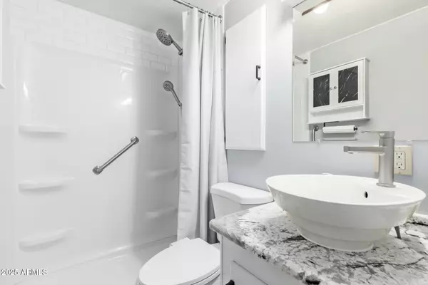 Mesa, AZ 85206,111 S Greenfield Road #419