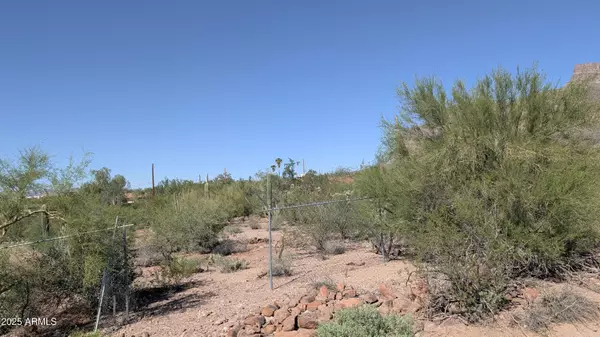 Apache Junction, AZ 85119,622 S CAMINO SAGUARO -- #17