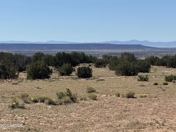 St Johns, AZ 85936,0 Woodlands Ranch - Lot 704 -- #704