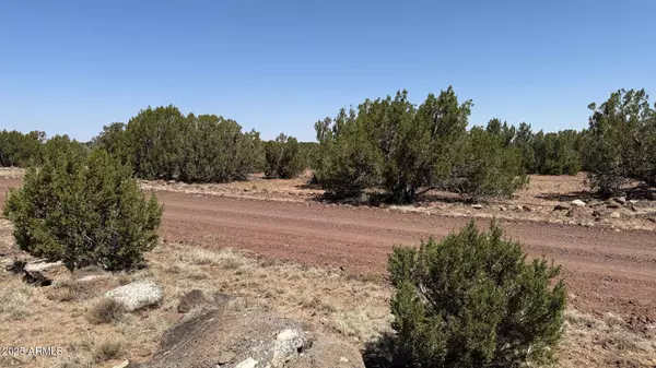 Concho, AZ 85924,0 Colts Way Lot 5 -- #2005