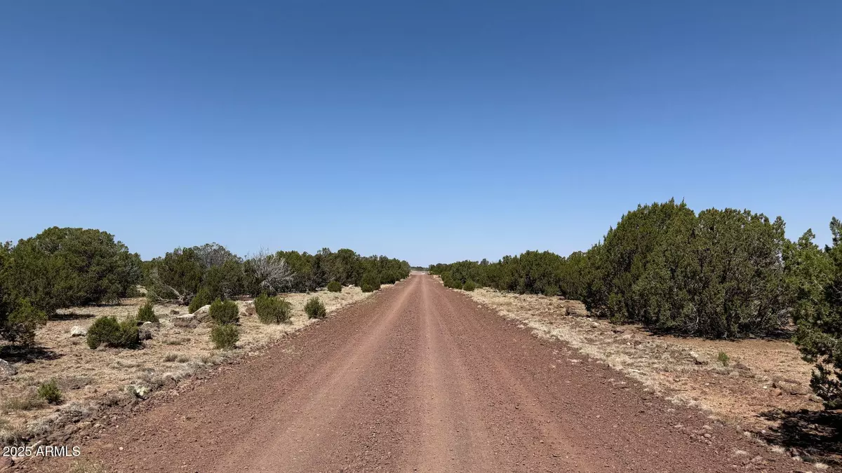 Concho, AZ 85924,0 Colts Way Lot 5 -- #2005