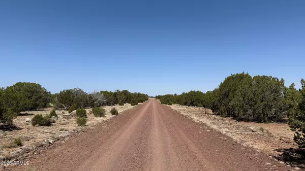 0 Colts Way Lot 5 -- #2005, Concho, AZ 85924