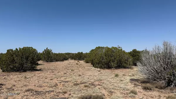 Concho, AZ 85924,0 Colts Way Lot 5 -- #2005