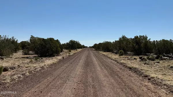 Concho, AZ 85924,0 Colts Way Lot 5 -- #2005