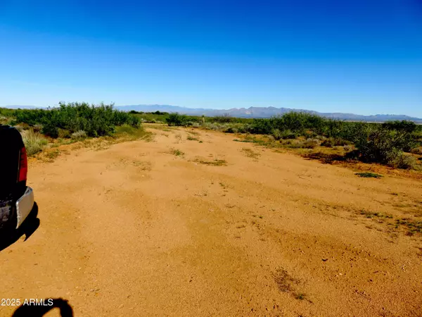 Elfrida, AZ 85610,N High Lonesome Road #52
