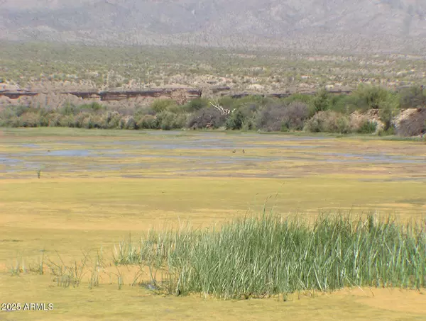 Wikieup, AZ 85360,236243 S SIGNAL Road