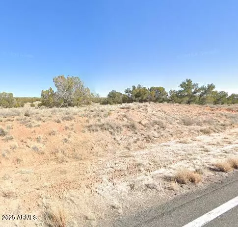 St Johns, AZ 85936,34042 US Highway 191 -- #-