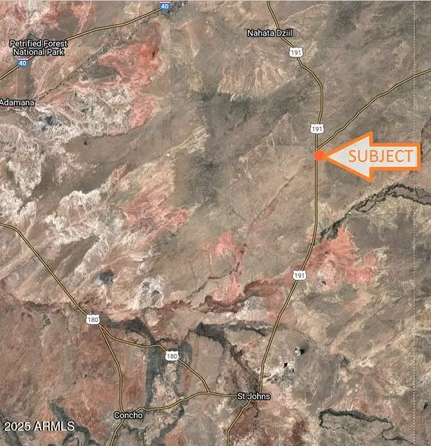 St Johns, AZ 85936,34042 US Highway 191 -- #-