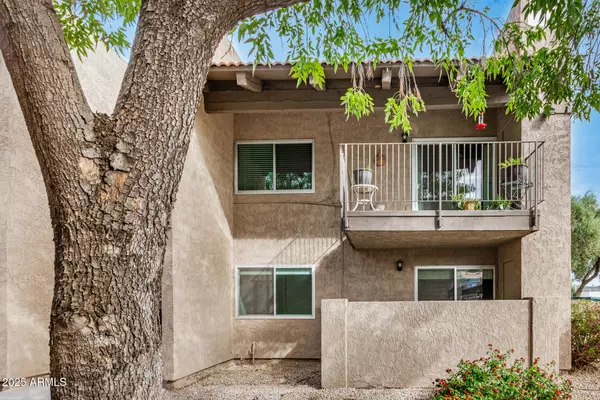 Phoenix, AZ 85018,5525 E THOMAS Road #C4