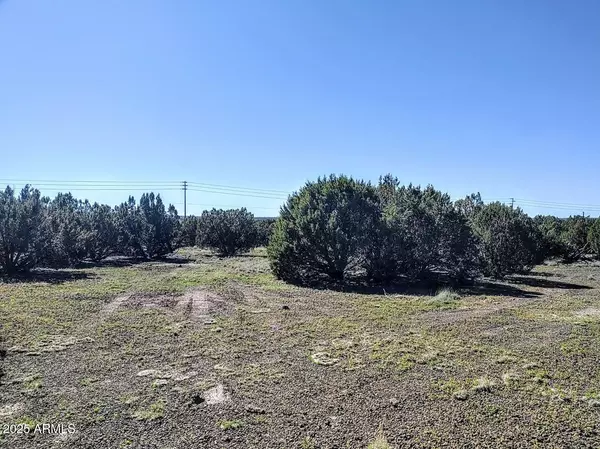 Show Low, AZ 85901,1639 SILVER LAKE Boulevard #012B