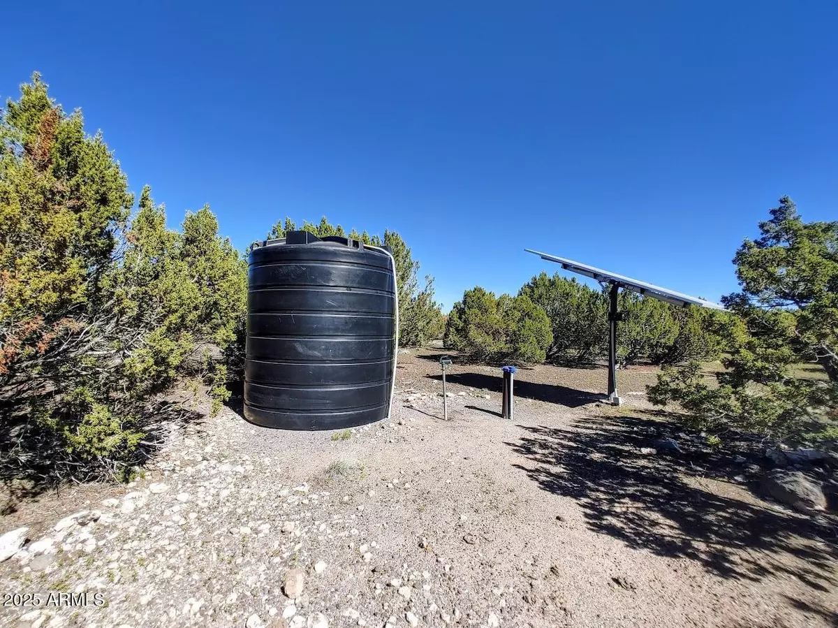 Show Low, AZ 85901,1639 SILVER LAKE Boulevard #012B