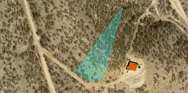 Rio Rico, AZ 85648,967 PEPPER Lane #19
