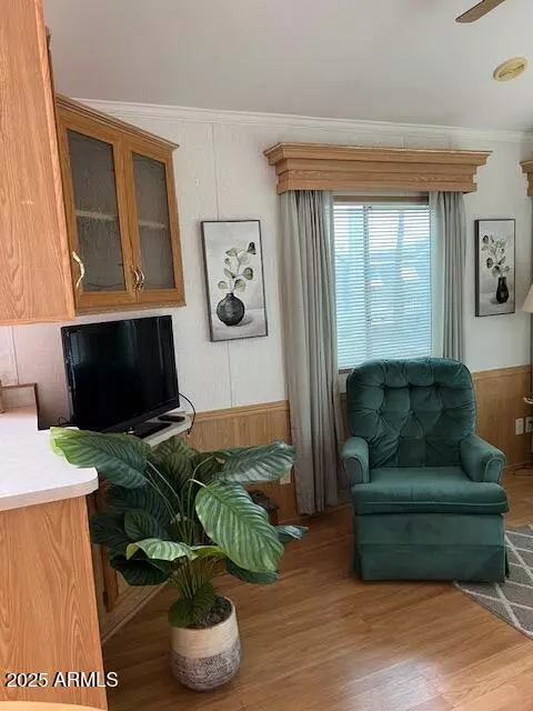 Apache Junction, AZ 85119,719 EMERALD Drive