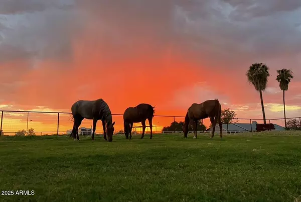 San Tan Valley, AZ 85140,40105 N TAYLOR Street