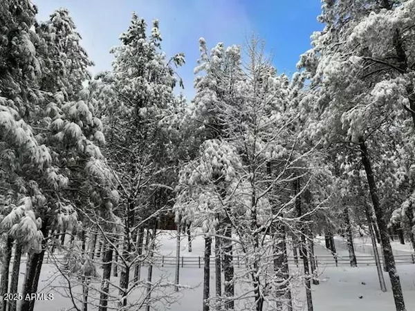 Flagstaff, AZ 86005,2777 BEAR HOWARD --
