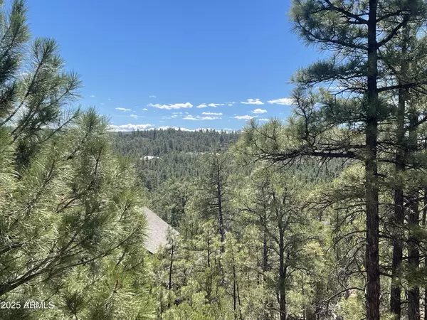 Show Low, AZ 85901,861 E Pine Oaks Drive